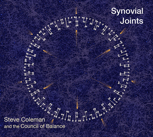 Synovial Joints CD Cover